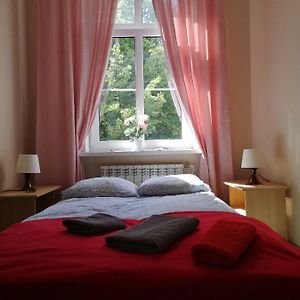 Kamer met een King Size Bed